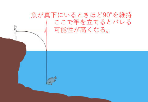 1月 22 グレ釣り Com 1月 22 グレ釣り Com